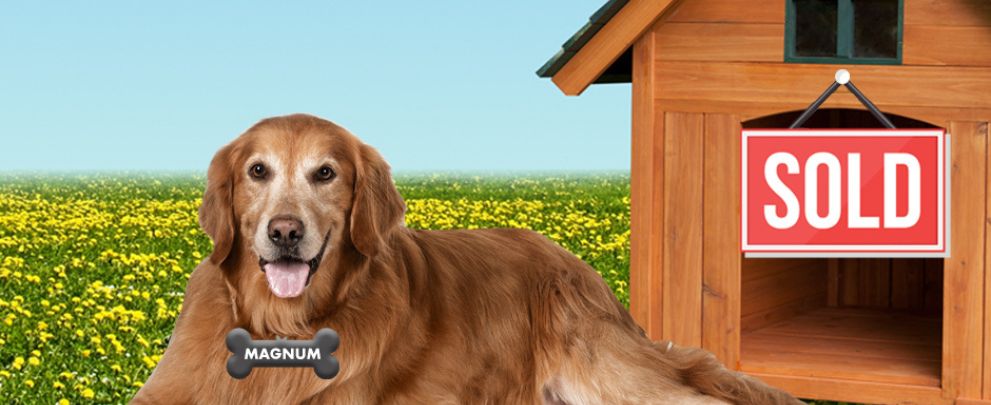 Magnum Mortgage